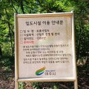 여강길(2코스 세물머리길) | (26.06.06) 여주보~보륜사임도~섬강~강천섬 라이딩