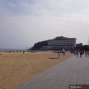 해운대 석각 모조품 | 부산해운대) 여유로운 바다 산책 '동백섬' - 걷기 좋은 곳🐾