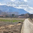 나리민박 | 울릉도 나리분지 탐방로 트레킹, 숲크닉카페와 소울 소품샵