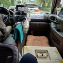 멍냥 펫택시 | 강아지 고양이 펫택시 반려동물택시 멍냥카 내돈내산 이용 후기