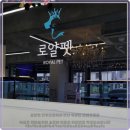 로얄펫 강아지분양 고양이분양 전주본점 이미지