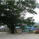 여주-0332 이미지