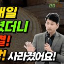 옻의 놀라운 효능 간에 좋은 최고의 식품 혈액순환 안될 때 이것 드세요 이미지