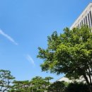 동산약국 이미지