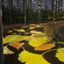 찬우물근린공원 이미지