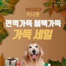 주니지니 이미지