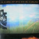 더그레이 The Gray 이미지