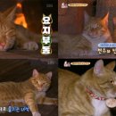 천수만수
