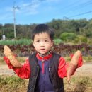 선민농장 이미지