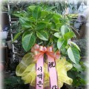 제일종합가스 이미지