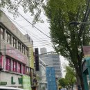 더블유헤어컷 이미지