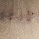 대인외과내과의원 이미지