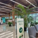 청개구리어린이도서관 | 수원 수목원 데이트코스 추천! 영흥수목원 주차 입장료 실내온실