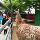 주주(ZOO ZOO) 이미지