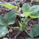 민수 농장 이미지