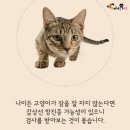 잠꾸러기 - 파주시 가재울로93번길 25-9 | 잠꾸러기