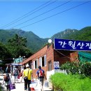 푸른초원