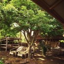 숲속의아침민박펜션 이미지