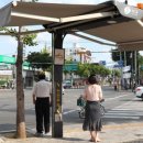 그늘막42 이미지