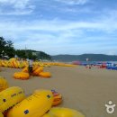 명사십리해수욕장 티스토리
