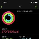 브래드하루