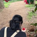 극락둑길 이미지