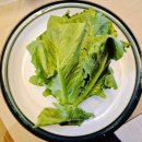 정진농장 | 정진농장 유럽상추 산지직송 당일수확 샐러드 야채 쌈채소 후기