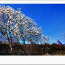 섬진강 레일바이크 이미지