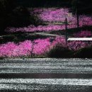 무릉도원1