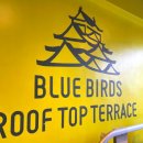 블루테라스 | 일본 오사카 여행｜오사카성 천수각 1열 직관, 블루버즈 루프탑 테라스 후기