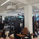 라인피티 이미지