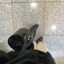 멜리멜로 이미지