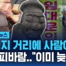 "흑돼지 거리에 사람이.." 폐업 피바람…"이미 늦었어" 이미지