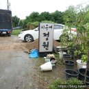 부광주유소 원당점 이미지