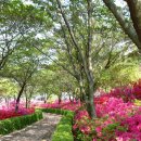 영흥면사무소 이미지