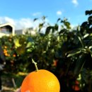 펜션 153 이미지