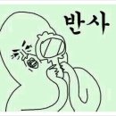 다뽑자 네이버블로그