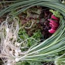 민락 길 약국 이미지