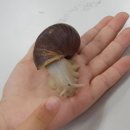 두산평생학습센터 이미지