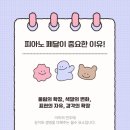 작은별바이올린&피아노음악학원 네이버블로그