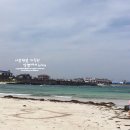 김녕오토바이상사 | 달다제주 : 제주도 소품샵, 선물점 : 김녕해변 : 제주시구좌읍 : 제주도동쪽여행
