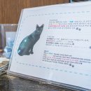 스탠포드호텔 부산 이미지