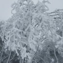 장곡초교 이미지