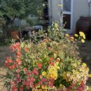 마르자하우스 이미지