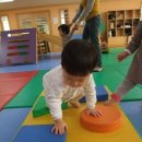 평촌과천짐보리