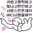 신지아 | 네벨혼트로피 프리후기(신지아)