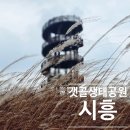 갯골안2 | 경기도 안산 시흥 겨울 가볼 만한 곳 갯골 생태공원 주차요금
