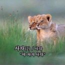 잡화공간 이미지