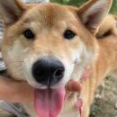 (주)아트랩일 이미지