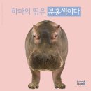 하마 - 11667 | 하마